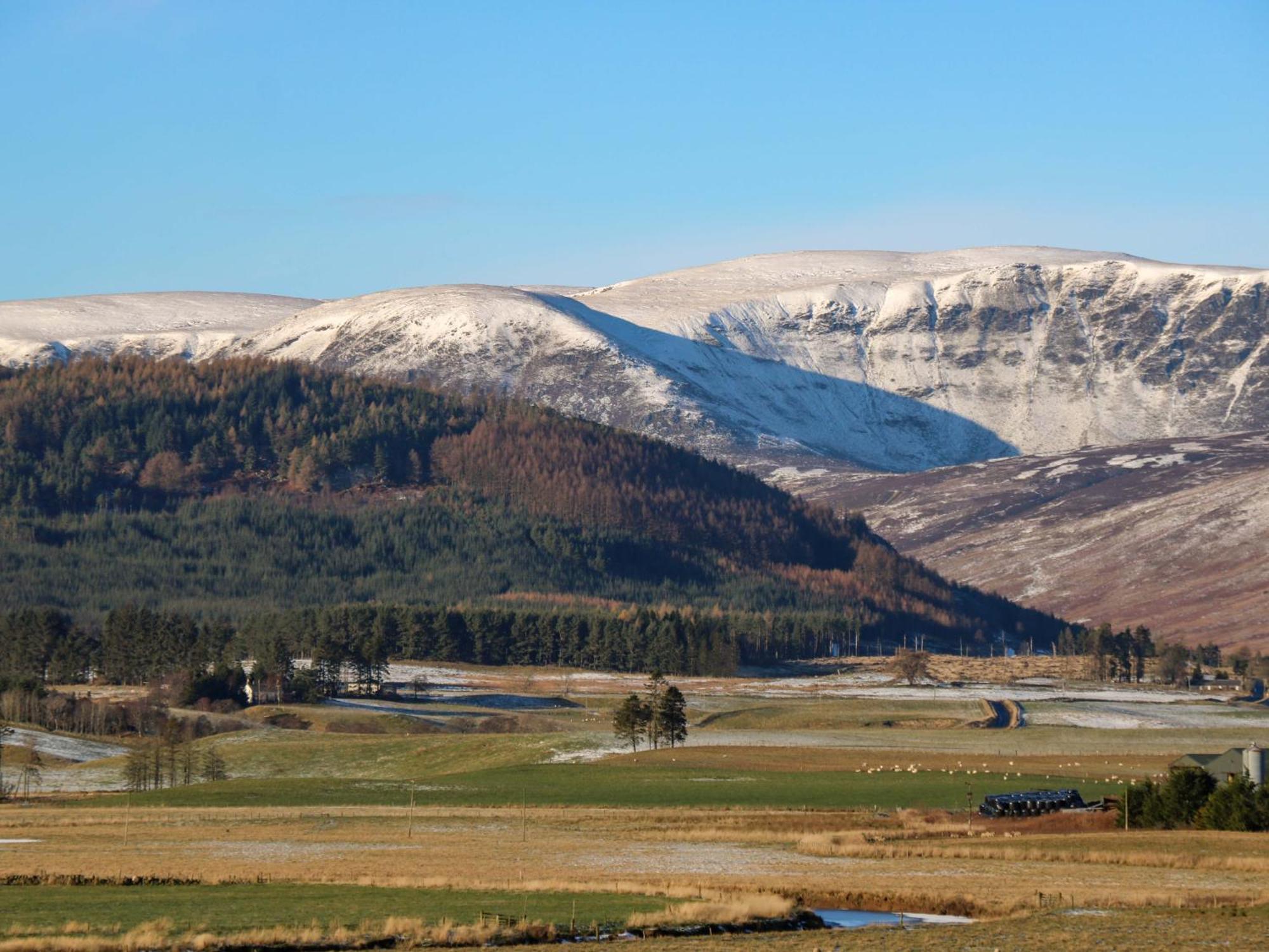 The Bothy Villa Kirriemuir Buitenkant foto